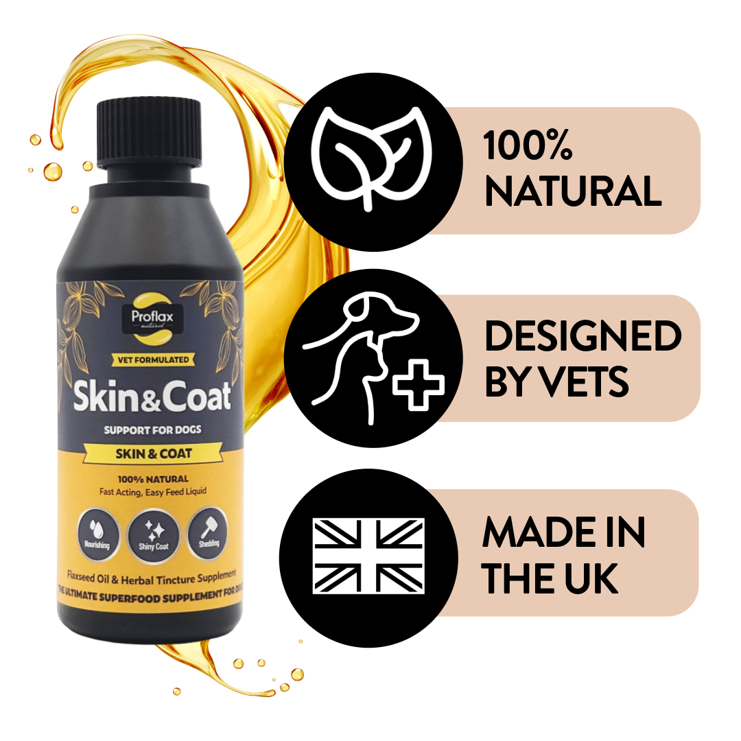 Proflax Skin & Coat natural UK-made dog supplement