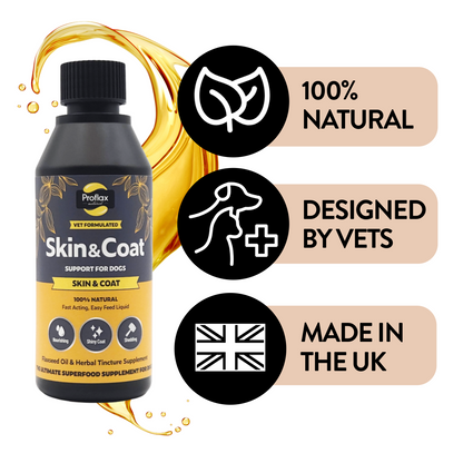 Proflax Skin & Coat natural UK-made dog supplement