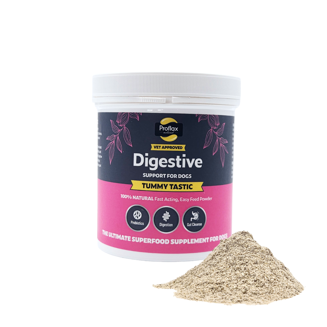 Proflax Tummy Tastic 125g digestive powder