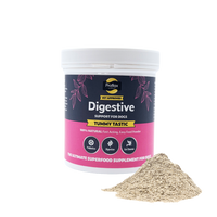 Proflax Tummy Tastic 125g digestive powder