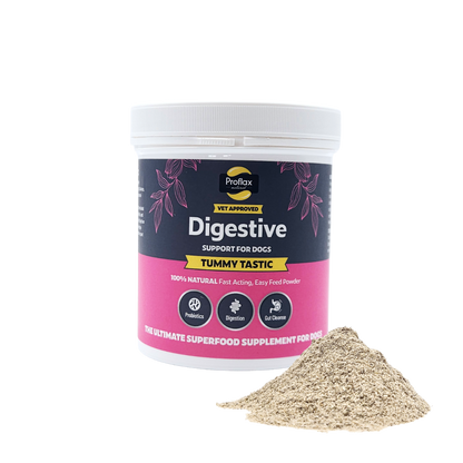 Proflax Tummy Tastic 125g digestive powder