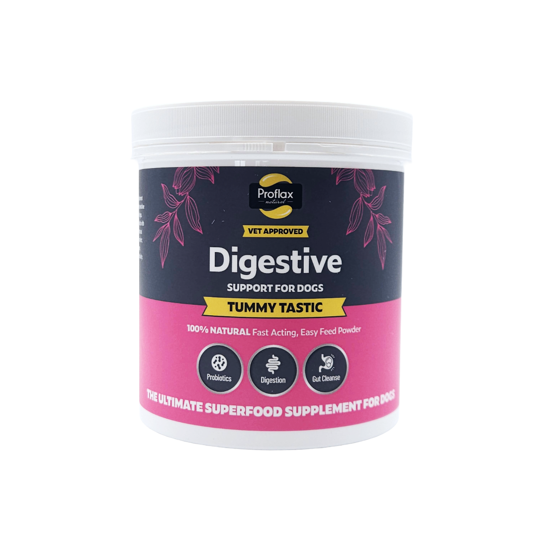 Proflax Tummy Tastic natural digestive support powder for dogs