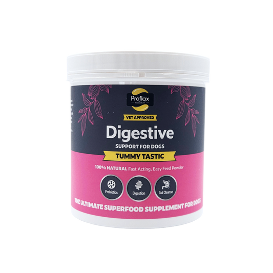 Proflax Tummy Tastic natural digestive support powder for dogs