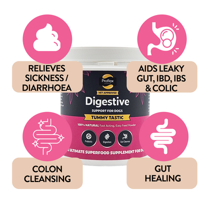 Tummy Tastic benefits for dog digestive comfort and balance
