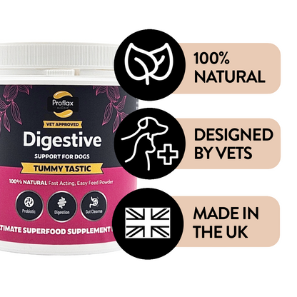 Tummy Tastic natural digestive support ingredients
