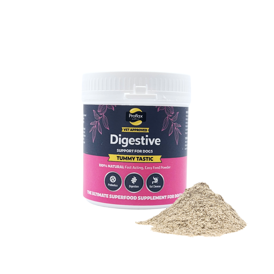 Proflax Tummy Tastic large digestive supplement tub