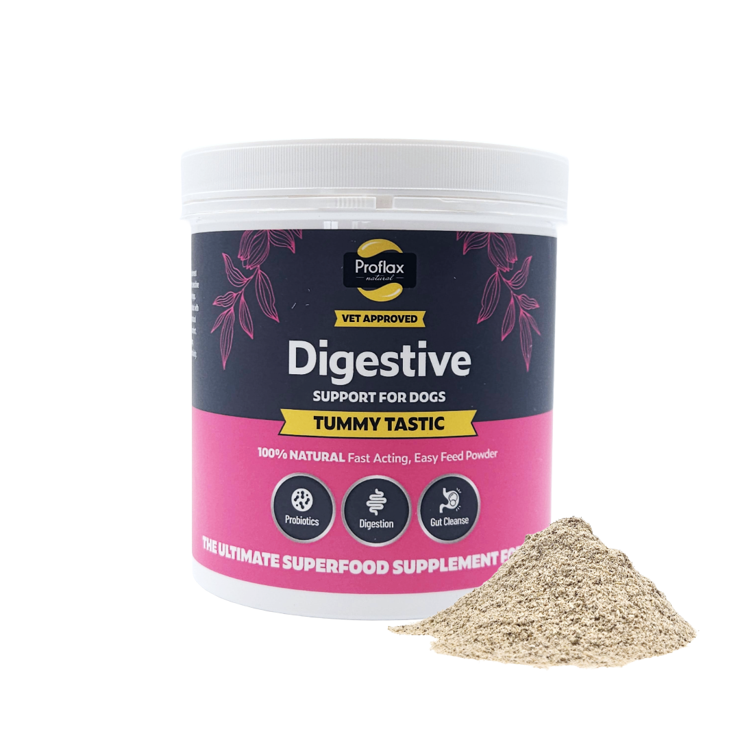 Proflax Tummy Tastic tub with digestive support powder