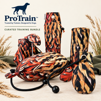 ProTrain curated Dog & Field Original Clone pheasant training bundle