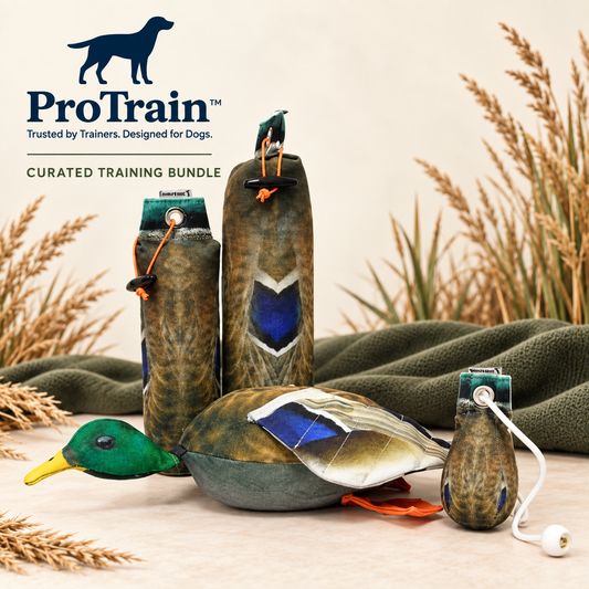 ProTrain curated Mallard Duck training bundle