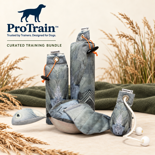 ProTrain curated Wood Pigeon training bundle