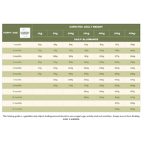 Country Pursuit Premium Puppy Dry Dog Food - 300g Sample