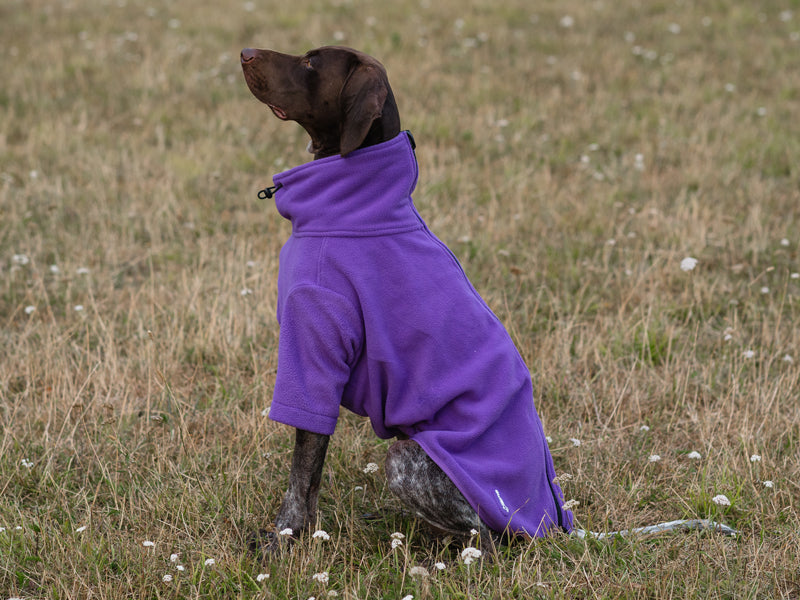 WIDE FIT Fleece Dog Jumper - Purple