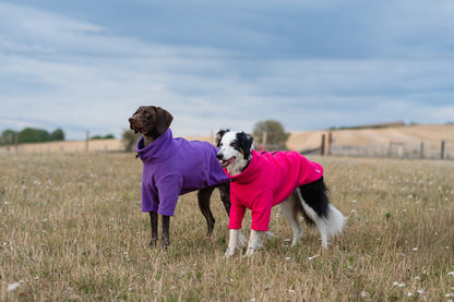 Fleece Dog Jumper - Purple
