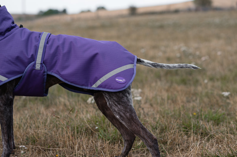 Luxe Waterproof Dog Coat 0g - Purple