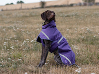 Luxe Waterproof Dog Coat 250g - Purple