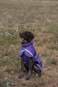 Luxe Waterproof Dog Coat 0g - Purple