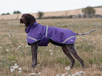 Luxe Waterproof Dog Coat 0g - Purple