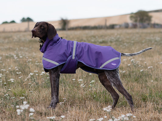 Luxe Waterproof Dog Coat 0g - Purple