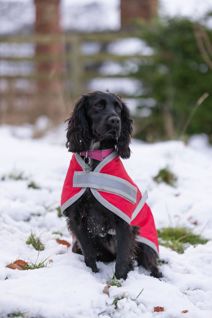 Classic 240g Waterproof Dog Coat - Red
