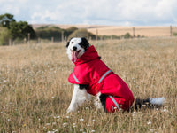 Luxe Waterproof Dog Coat 250g - Red