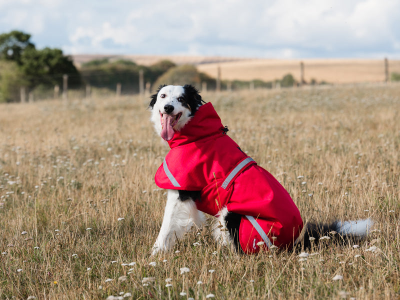 Luxe Waterproof Dog Coat 0g - Red
