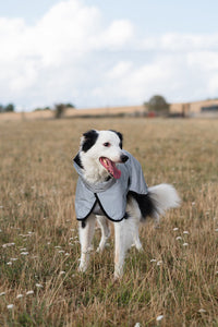 Luxe Waterproof Dog Coat 250g - Reflective Silver