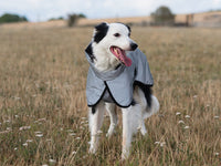 Luxe Waterproof Dog Coat 0g - Reflective Silver
