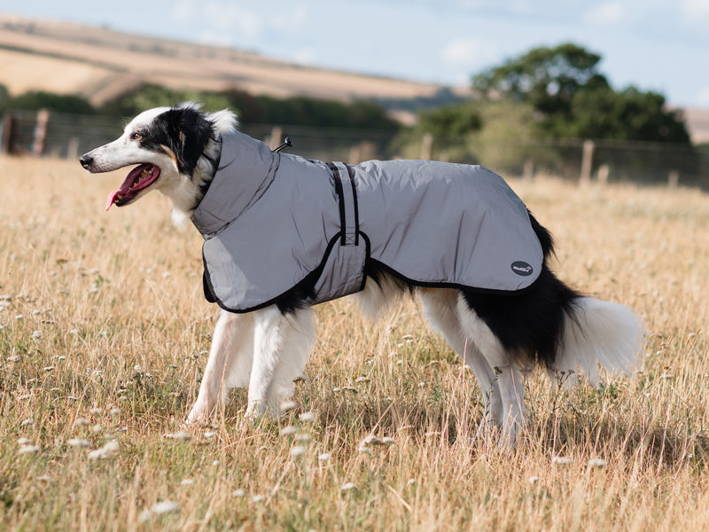Luxe Waterproof Dog Coat 250g - Reflective Silver