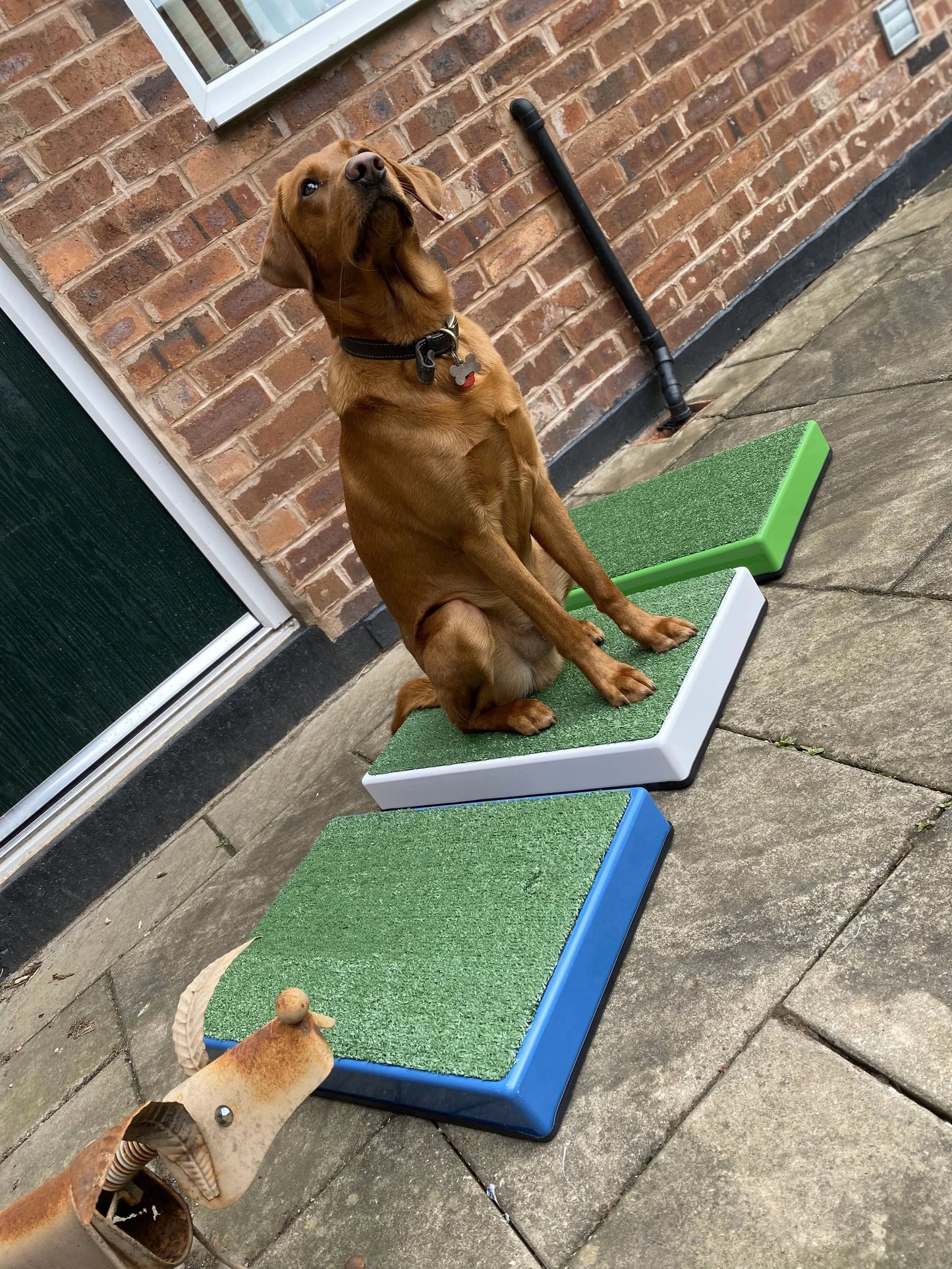 Archie Bear Place Board-2 sizes