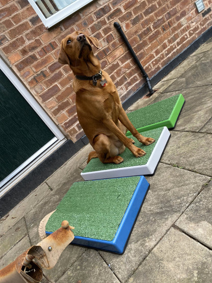 Archie Bear Place Board-2 sizes