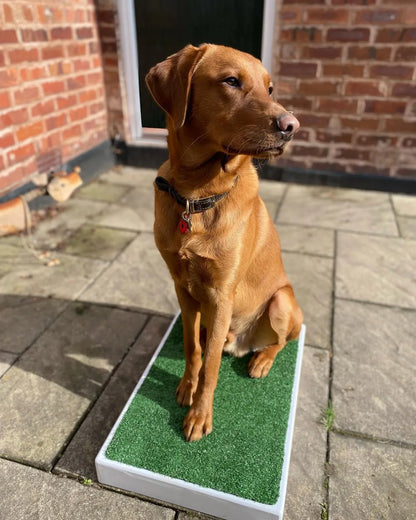 Archie Bear Place Board-2 sizes