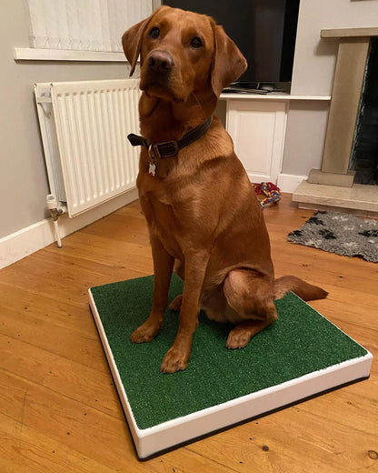 Archie Bear Place Board-2 sizes