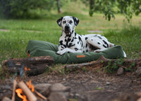 THE RICHMOND | LUXURY GREEN FLAT PILLOW DOG BED