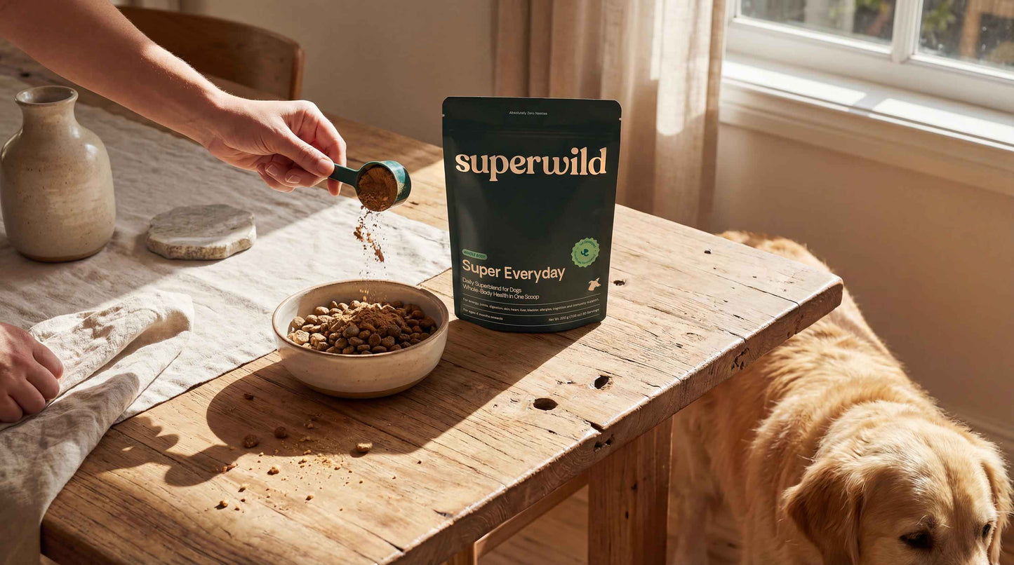 Superwild Super Everyday | Daily All-in-One Dog Supplement Powder