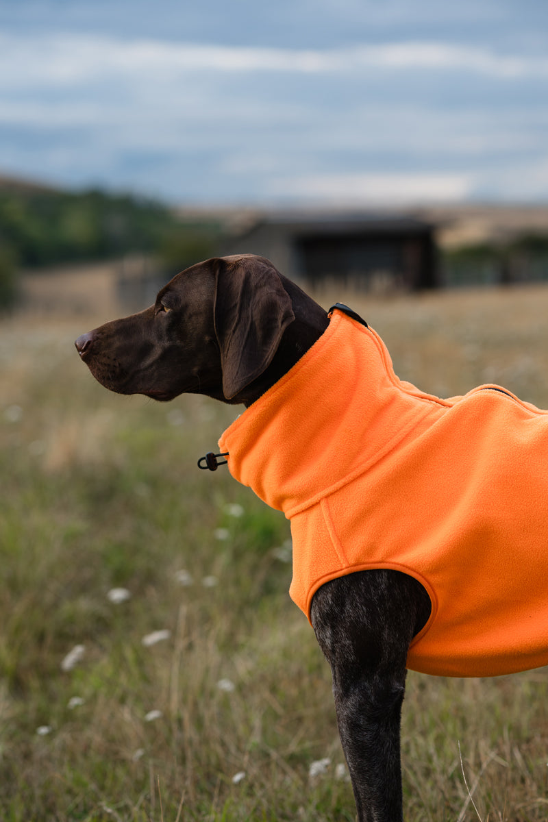 Fleece Dog Coat - Orange