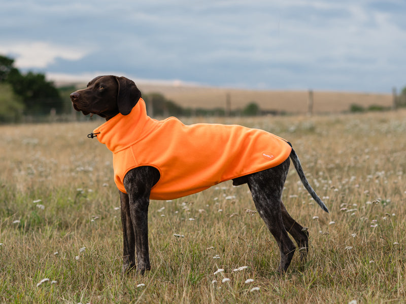 Fleece Dog Coat - Orange