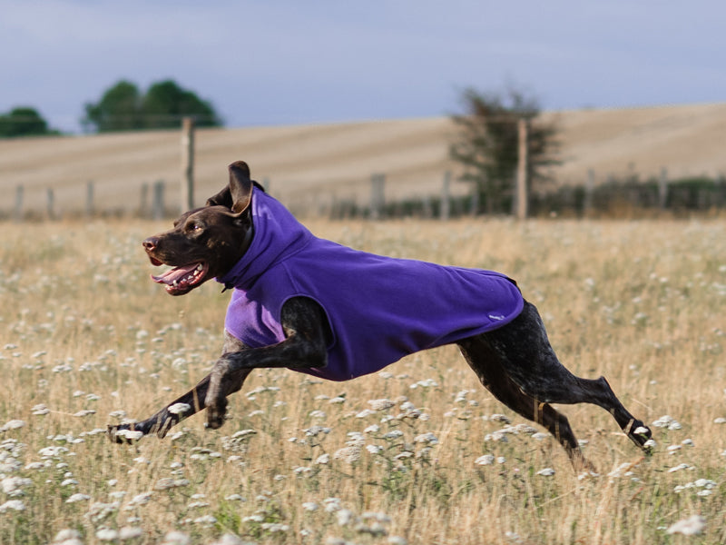Fleece Dog Coat - Purple