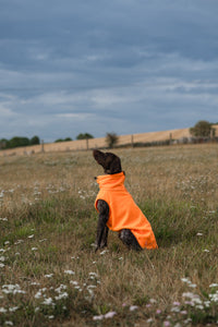 Fleece Dog Coat - Orange