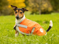 Classic 240g Waterproof Dog Coat - Orange